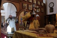 34-В воскресный день архиепископ Амфилохий совершил Божественную Литургию в Андреевском кафедральном соборе 