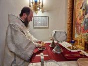 17-В Лазареву субботу архиепископ Амфилохий совершил Божественную Литургию в главном храме епархии