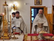 28-В Лазареву субботу архиепископ Амфилохий совершил Божественную Литургию в главном храме епархии