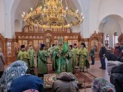 9-«Осанна в вышних, благословен Грядущий во имя Господне!».  Божественная Литургия в Андреевском соборе  в день Входа Господня в Иерусалим