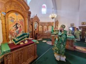 12-«Осанна в вышних, благословен Грядущий во имя Господне!».  Божественная Литургия в Андреевском соборе  в день Входа Господня в Иерусалим