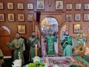 31-«Осанна в вышних, благословен Грядущий во имя Господне!».  Божественная Литургия в Андреевском соборе  в день Входа Господня в Иерусалим