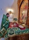 32-«Осанна в вышних, благословен Грядущий во имя Господне!».  Божественная Литургия в Андреевском соборе  в день Входа Господня в Иерусалим