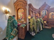 33-«Осанна в вышних, благословен Грядущий во имя Господне!».  Божественная Литургия в Андреевском соборе  в день Входа Господня в Иерусалим