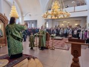 38-«Осанна в вышних, благословен Грядущий во имя Господне!».  Божественная Литургия в Андреевском соборе  в день Входа Господня в Иерусалим