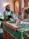 41-«Осанна в вышних, благословен Грядущий во имя Господне!».  Божественная Литургия в Андреевском соборе  в день Входа Господня в Иерусалим
