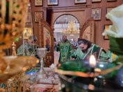 44-«Осанна в вышних, благословен Грядущий во имя Господне!».  Божественная Литургия в Андреевском соборе  в день Входа Господня в Иерусалим