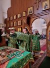 45-«Осанна в вышних, благословен Грядущий во имя Господне!».  Божественная Литургия в Андреевском соборе  в день Входа Господня в Иерусалим