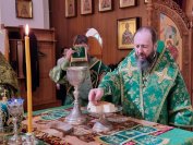 48-«Осанна в вышних, благословен Грядущий во имя Господне!».  Божественная Литургия в Андреевском соборе  в день Входа Господня в Иерусалим