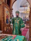 49-«Осанна в вышних, благословен Грядущий во имя Господне!».  Божественная Литургия в Андреевском соборе  в день Входа Господня в Иерусалим