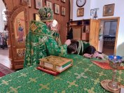 63-«Осанна в вышних, благословен Грядущий во имя Господне!».  Божественная Литургия в Андреевском соборе  в день Входа Господня в Иерусалим
