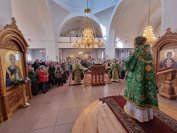 67-«Осанна в вышних, благословен Грядущий во имя Господне!».  Божественная Литургия в Андреевском соборе  в день Входа Господня в Иерусалим