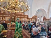 72-«Осанна в вышних, благословен Грядущий во имя Господне!».  Божественная Литургия в Андреевском соборе  в день Входа Господня в Иерусалим