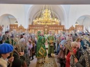 73-«Осанна в вышних, благословен Грядущий во имя Господне!».  Божественная Литургия в Андреевском соборе  в день Входа Господня в Иерусалим