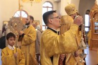 6-В Неделю 23-ю по Пятидесятнице архиепископ Амфилохий совершил Божественную Литургию в Андреевском кафедральном соборе 