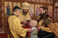 35-В Неделю 23-ю по Пятидесятнице архиепископ Амфилохий совершил Божественную Литургию в Андреевском кафедральном соборе 