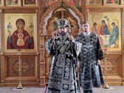 3-Архиепископ Амфилохий совершил Божественную Литургию Преждеосвященных Даров в Троицком крепостном соборе
