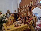 35-Служение архиепископа Амфилохия в Неделю по Богоявлении