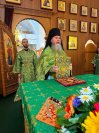 14-«Согласно славим Всесвятаго Духа». Божественная Литургия в день Святой Пятидесятницы в Андреевском кафедральном соборе