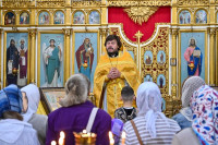 14-В день памяти пророка Божия Илии архиепископ Усть-Каменогорский и Семипалатинский Амфилохий сослужил митрополиту Александру за Божественной Литургией в Константино-Еленинском соборе Астаны. 