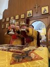 21-Неделя сыропустная, воспоминание Адамова изгнания