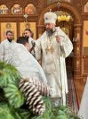 49-Предпразднство Рождества Христова