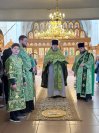 1-Вход Господень в Иерусалим. Божественная Литургия в Андреевском кафедральном соборе