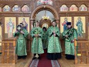9-Вход Господень в Иерусалим. Божественная Литургия в Андреевском кафедральном соборе