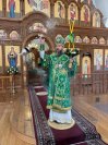 14-Вход Господень в Иерусалим. Божественная Литургия в Андреевском кафедральном соборе