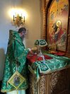25-Вход Господень в Иерусалим. Божественная Литургия в Андреевском кафедральном соборе