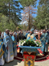 66-Традиционное общеепархиальное паломничество на Святой Ключ