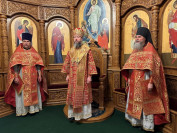 8-Божественная Литургия в Неделю 6-ю по Пасхе, о слепом