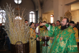 Архиерейское богослужение на праздник Входа Господня в Иерусалим  в Андреевском кафедральном соборе г.Усть-Каменогорска
