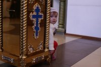 29-День памяти святителя Спиридона, епископа Тримифунтского