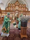17-Всенощное бдение накануне праздника Входа Господня в Иерусалим