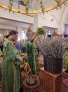 18-Всенощное бдение накануне праздника Входа Господня в Иерусалим